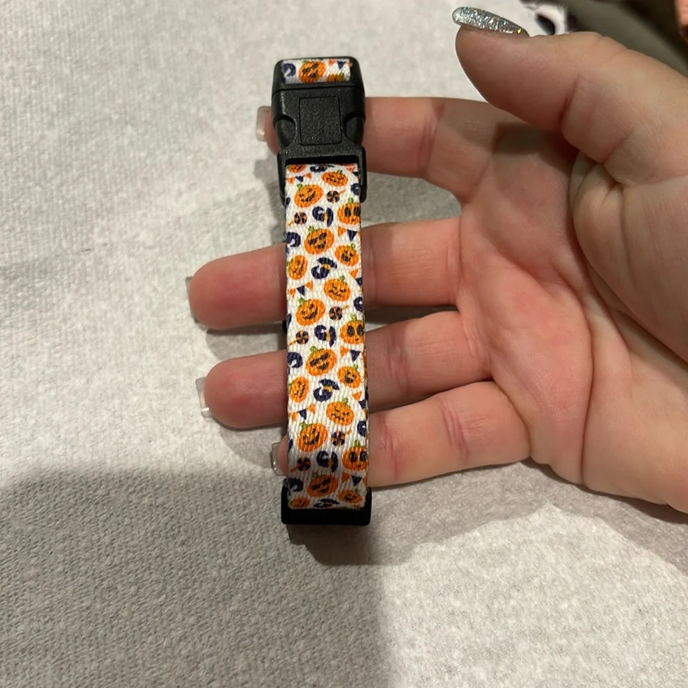 Halloween Dog or cat collar